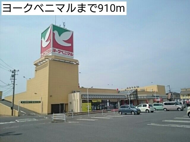 近くのヨークベニマルまで910m（徒歩12分）