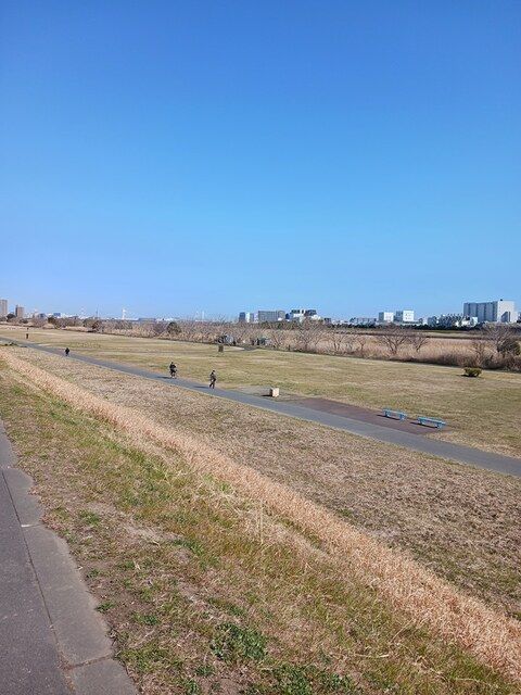 近くの六郷緑地まで301m(徒歩4分)