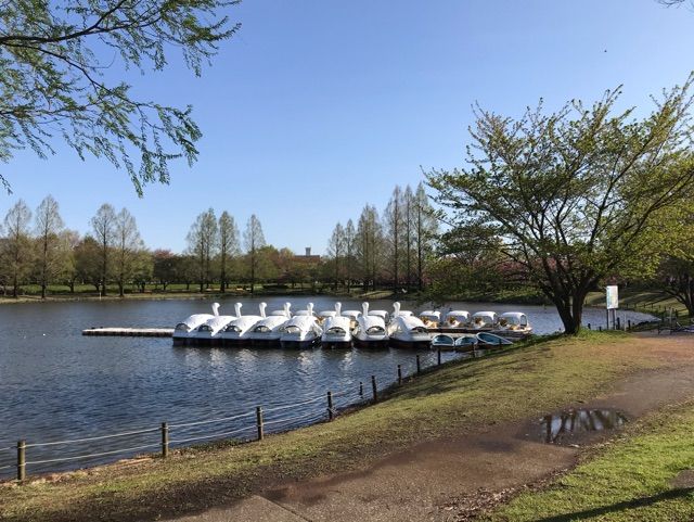 近くの川越水上公園まで700m（徒歩9分）