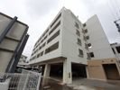 ルピナス HIGAの間取り画像