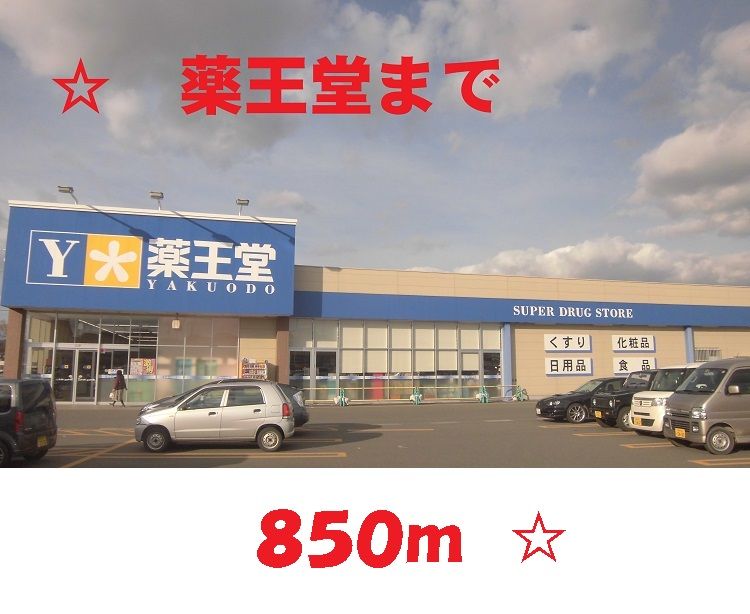 近くの薬王堂まで850m（徒歩11分）