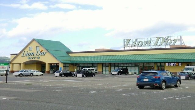 近くのリオンドール坂下店まで1,000m（徒歩13分）