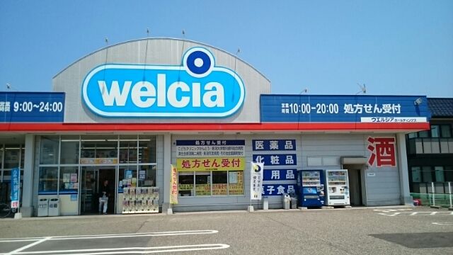 近くのウエルシア新潟小新店まで1,000m（徒歩13分）