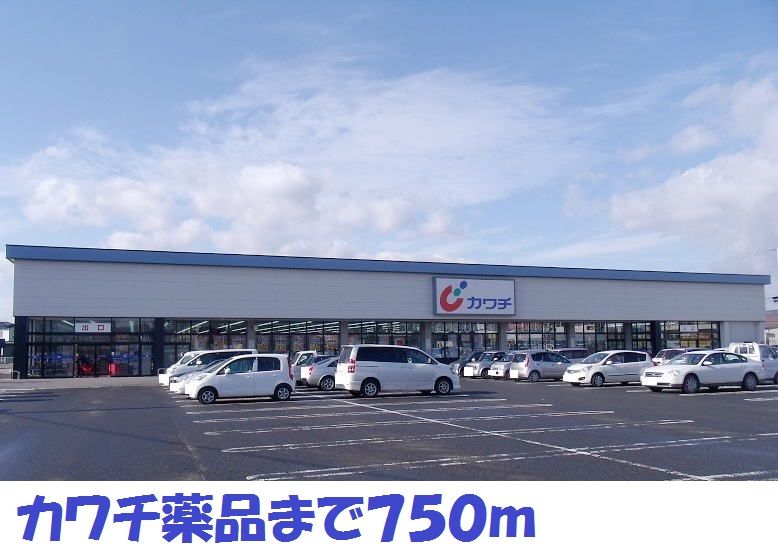 近くのカワチ薬品まで750m(徒歩10分)