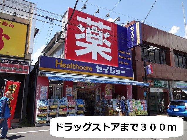 近くのドラッグストアまで300m（徒歩4分）