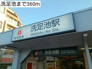 近くの洗足池まで360m（徒歩5分）