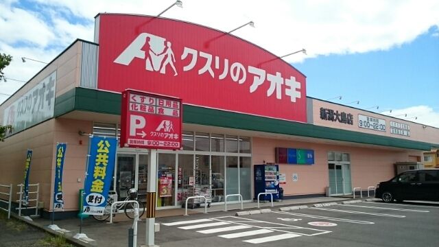 近くのドラッグストアまで750m（徒歩10分）