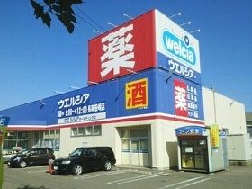 近くのウエルシアまで380m(徒歩5分)