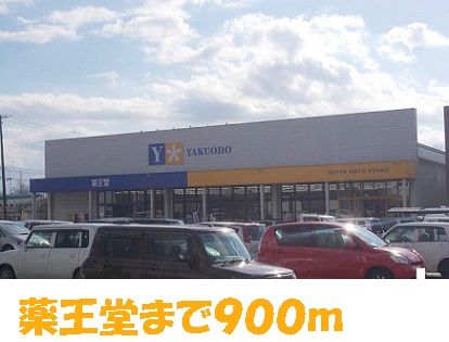 近くの薬王堂まで900m(徒歩12分)