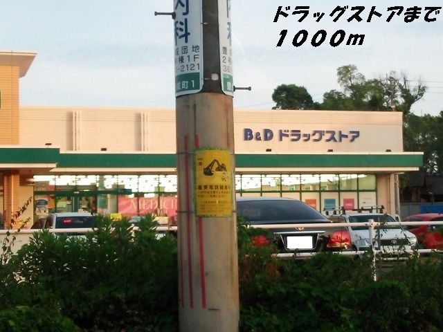 近くのＢ＆Ｄドラッグまで1,000m（徒歩13分）