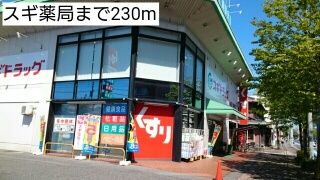 近くのスギ薬局まで230m(徒歩3分)