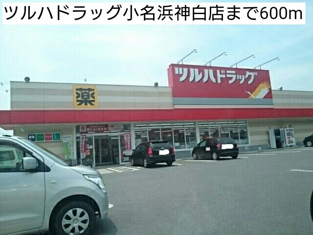 近くのツルハドラッグ小名浜神白店まで600m（徒歩8分）