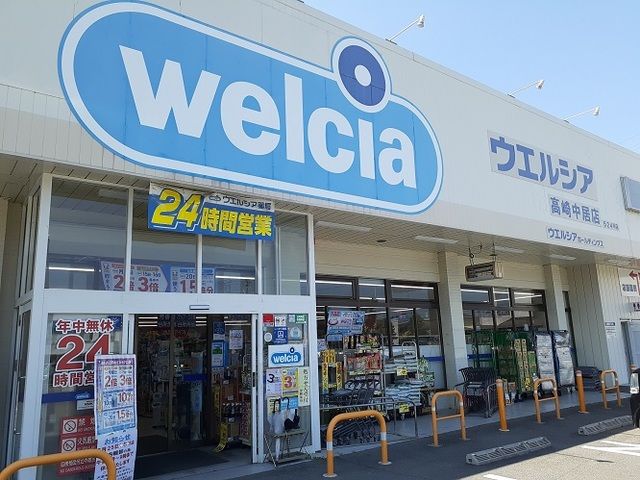 近くのウエルシア高崎中居店まで750m(徒歩10分)