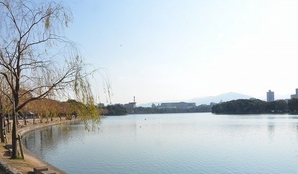 近くの大濠公園まで700m（徒歩9分）