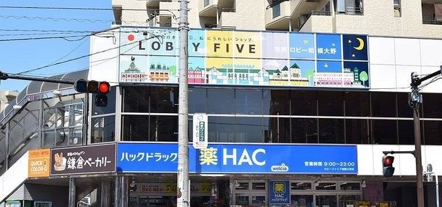 近くのハックドラッグまで350m(徒歩5分)