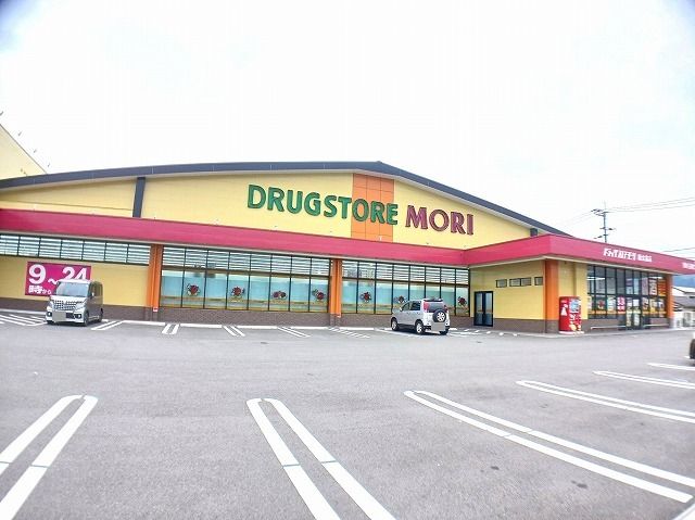 近くのドラッグストアモリ　女島店まで1,100m（徒歩14分）