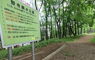 近くの野寺親水公園まで650m（徒歩9分）