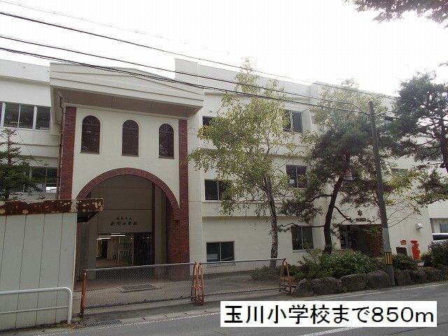 近くの玉川小学校まで850m(徒歩11分)