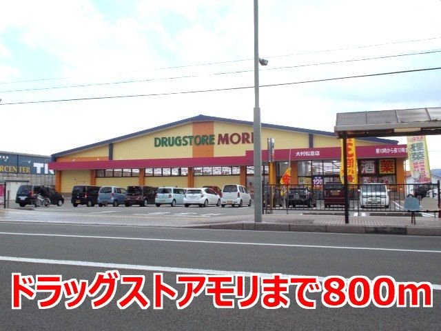 近くのドラッグストアまで800m（徒歩10分）