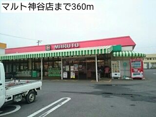 近くのマルト神谷店まで360m（徒歩5分）