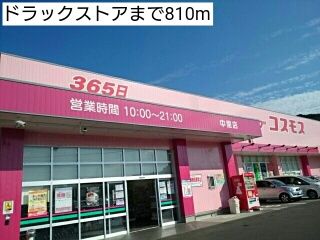 近くのドラックストアまで810m（徒歩11分）