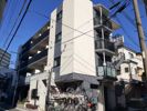 ノイ東向島の間取り画像