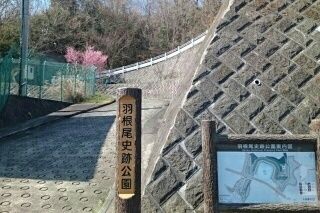 近くの公園まで800m（徒歩10分）