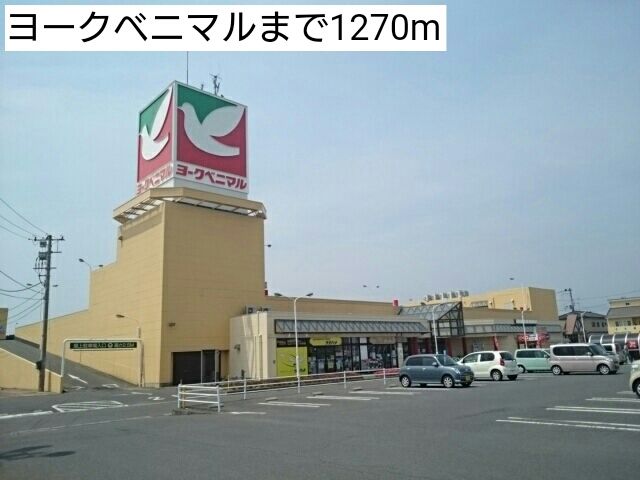 近くのヨークベニマルまで1,270m(徒歩16分)