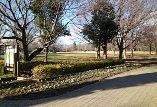 近くの青葉の森公園まで530m（徒歩7分）