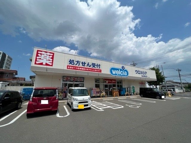 近くのドラッグストアまで1,000m（徒歩13分）