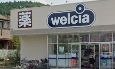 近くのウエルシア鎌倉岩瀬店まで590m(徒歩8分)