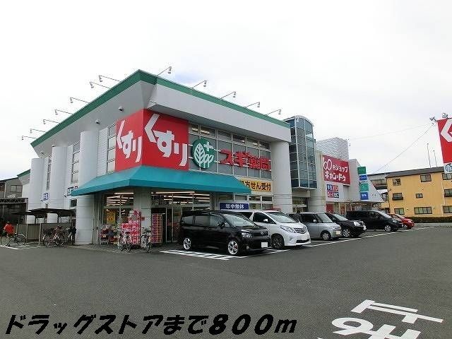 近くのスギ薬局まで800m（徒歩10分）