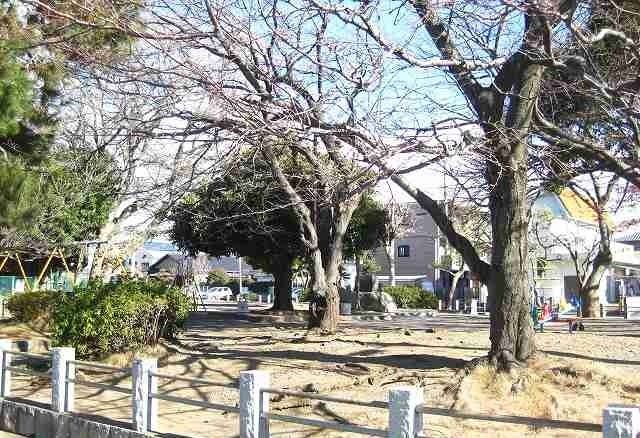 近くの藤井原公園まで750m(徒歩10分)