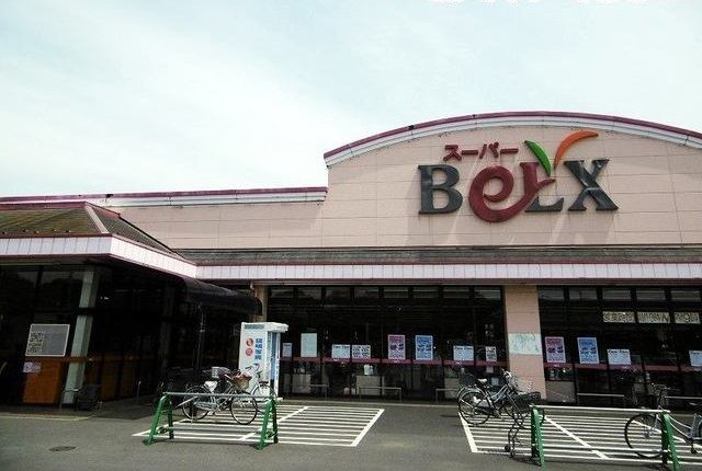 近くのベルクスまで1,000m（徒歩13分）