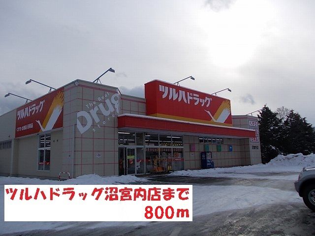 近くのツルハドラッグ沼宮内店まで800m（徒歩10分）