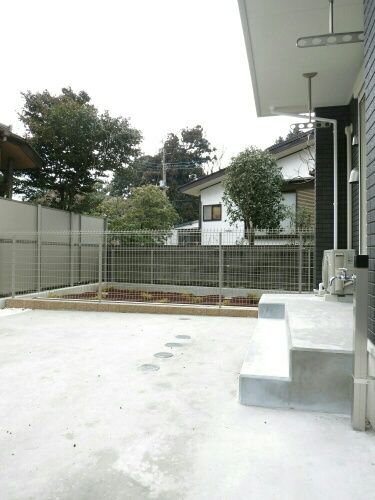 庭