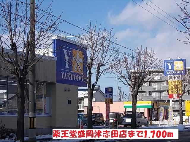 近くの薬王堂盛岡津志田店まで1,700m(徒歩22分)