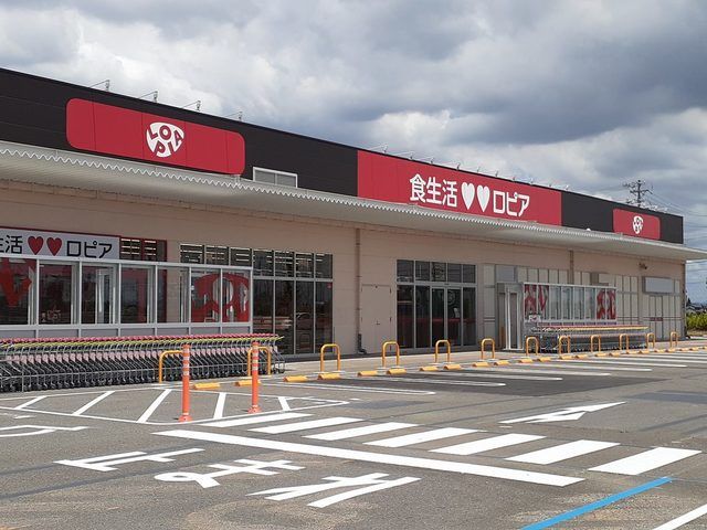 近くのロピア柳津店まで800m(徒歩10分)