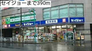 近くのセイジョーまで390m(徒歩5分)