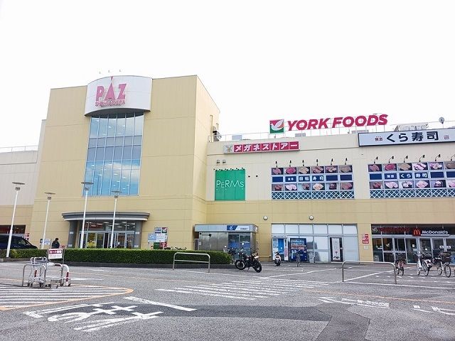近くのＰＡＺ新柏まで1,300m（徒歩17分）