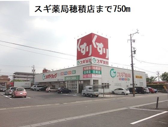 近くのスギ薬局　穂積店まで750m（徒歩10分）