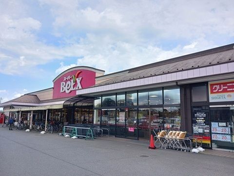 近くのベルクスまで750m（徒歩10分）