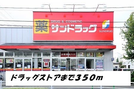 近くのサンドラッグまで350m（徒歩5分）
