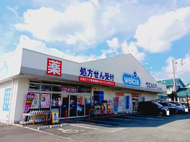 近くのウエルシア　富士川成島店まで750m（徒歩10分）