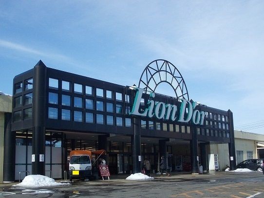 近くのリオンドール十日町店まで2,280m（徒歩29分）