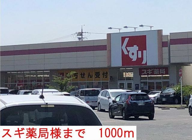 近くのスギ薬局まで1,000m(徒歩13分)