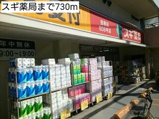 近くのスギ薬局まで730m（徒歩10分）