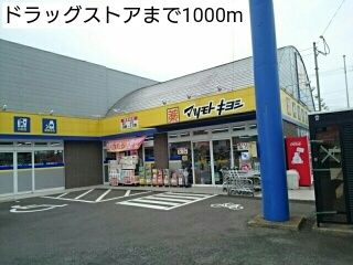 近くのドラッグストアまで1,000m（徒歩13分）