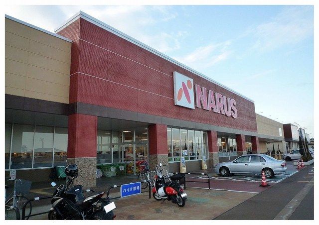 近くのナルス南高田店まで3,000m（徒歩38分）