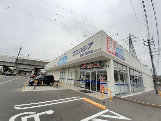近くのウエルシア新潟鳥原店まで950m（徒歩12分）